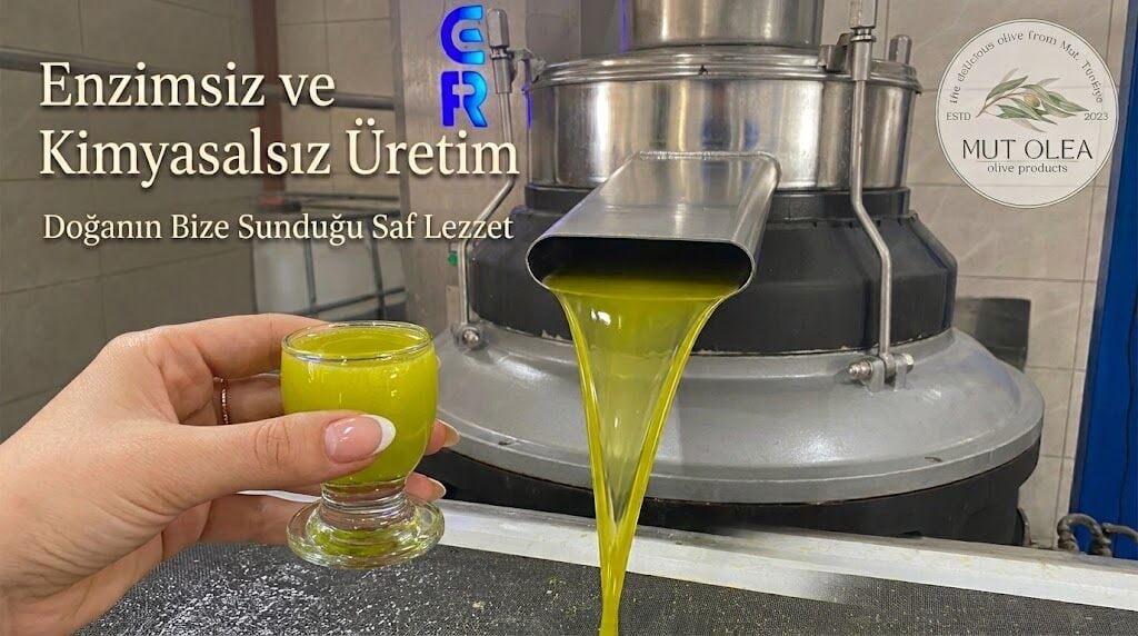 Enzimsiz ve Kimyasalsız Üretim