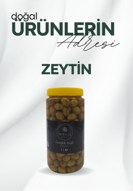 Zeytin