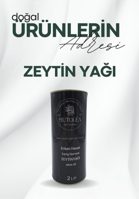 Zeytin Yağı
