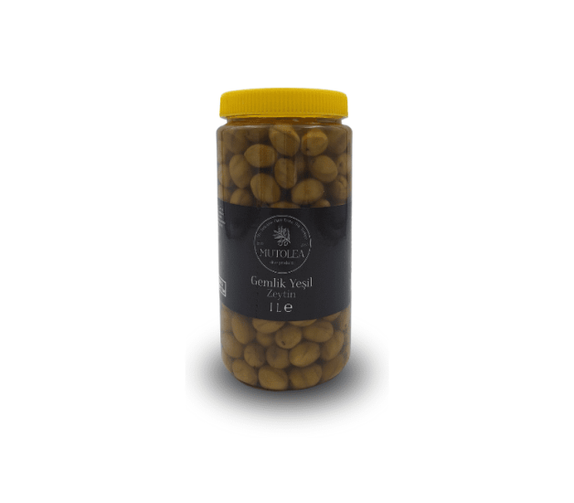 Gemlik Yeşil Zeytin 1 kg