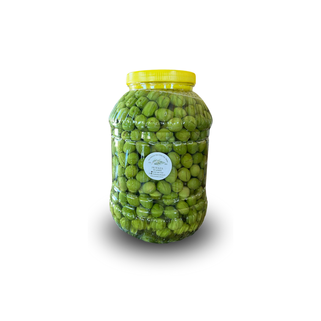 Yeşil Zeytin