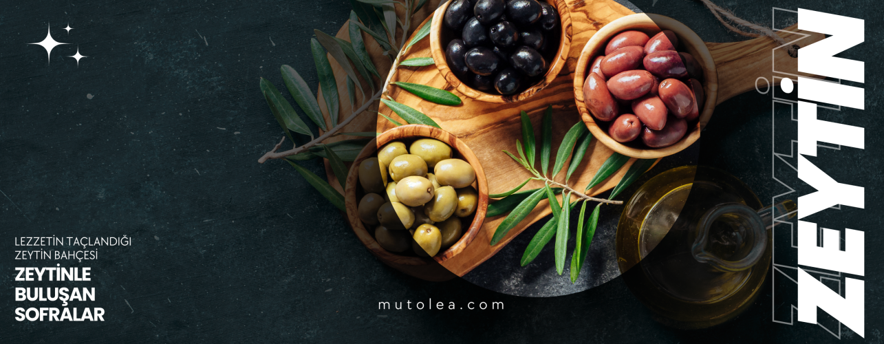Zeytin